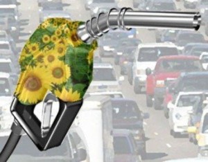 Biocombustibles1